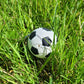 Nosework Vessel shaped like a soccer ball! Made and designed in Canada