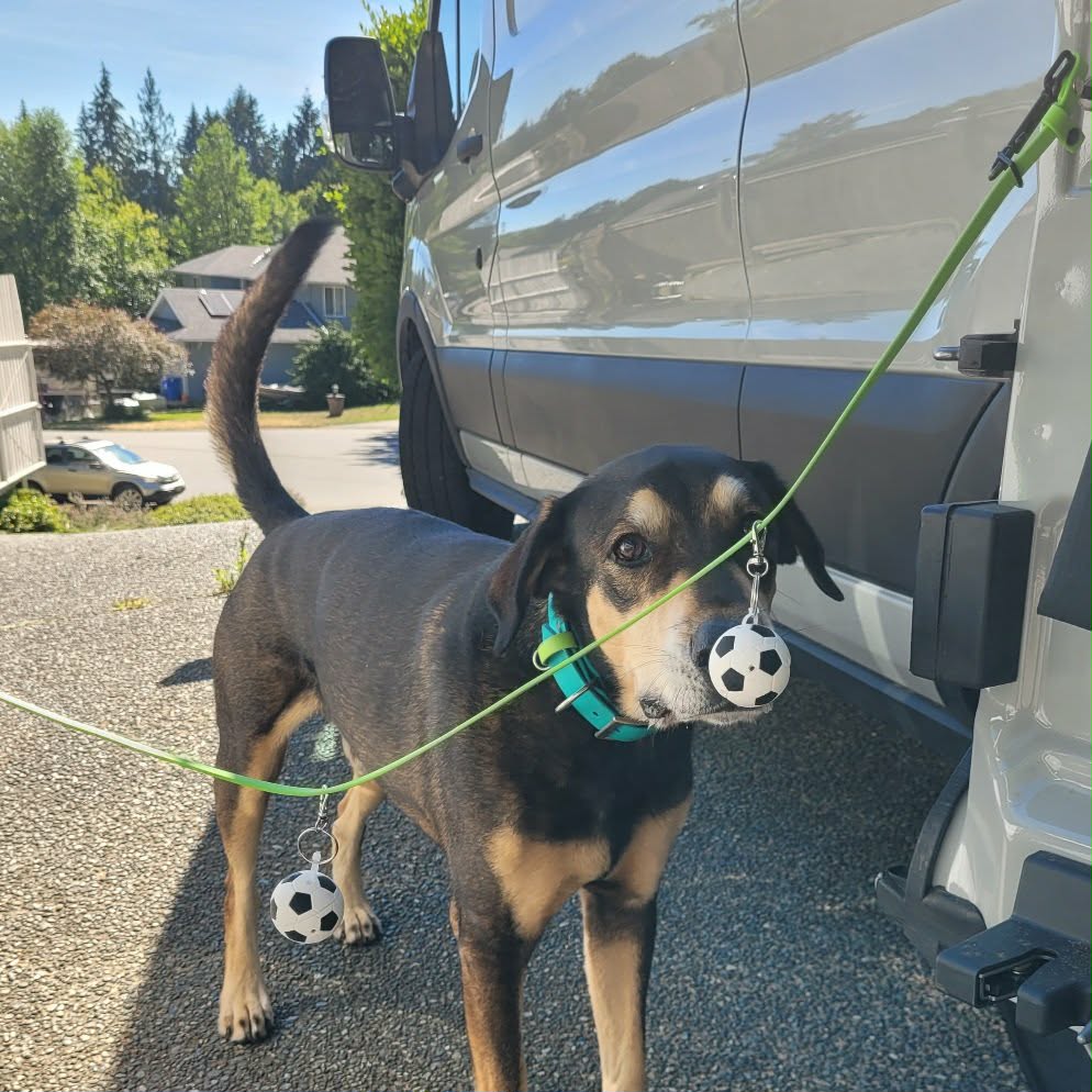 Sniffer Soccer Ball Vessel