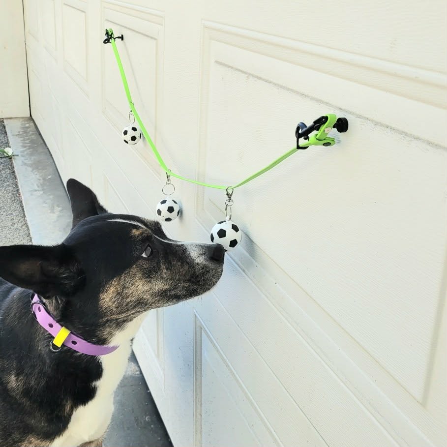 Line it up on a string! Aerial nosework made easy and fun. Nosework Vessels shaped like a soccer ball! Made and designed in Canada