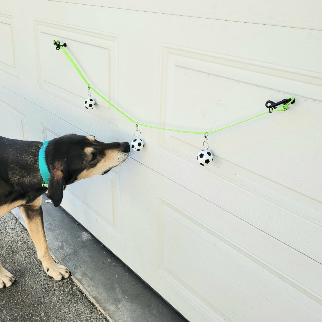 Line it up on a string! Aerial nosework made easy and fun. Nosework Vessels shaped like a soccer ball! Made and designed in Canada