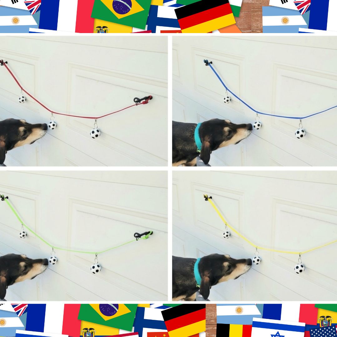Get the Sniffer Soccer Ball for Nosework!  Get it in your team's colours! FIFA FUN!