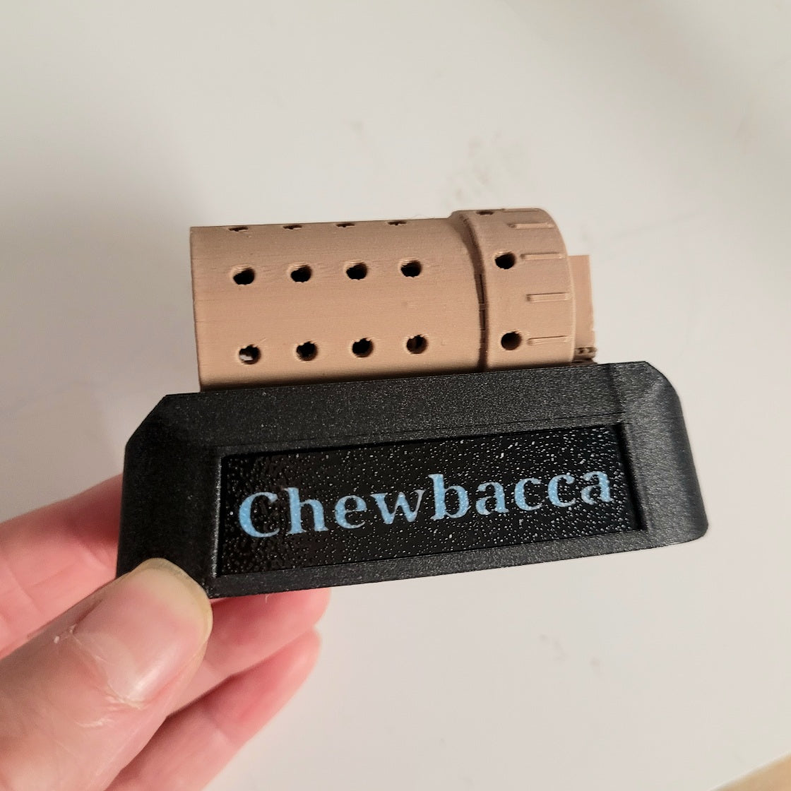 Can do long names!  String & bow not yet mounted.  Light blue font on black plate 