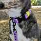 Amethyst and neon yellow strap