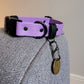 Featuring a dog tag ring, exclusive to Nose & Hearts 