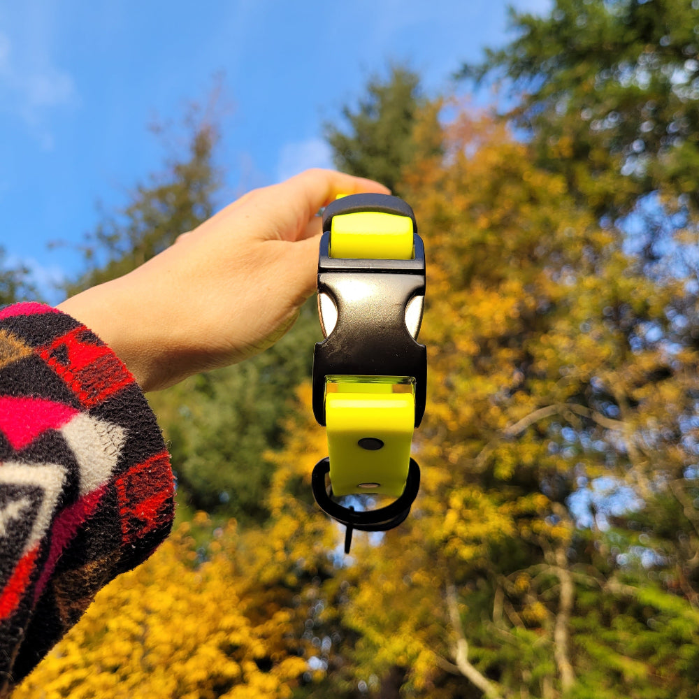 Neon yellow and black 