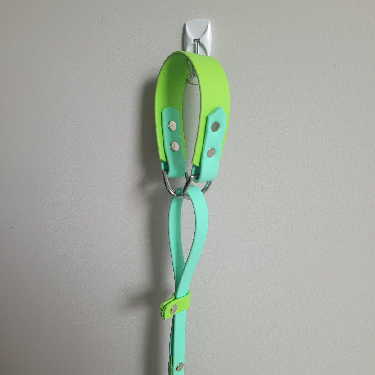 Lime green and sea foam green biothane French Martingale. Made in Canada, BC