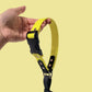 Neon yellow with black accent and off centered buckle - buckle is off-centered