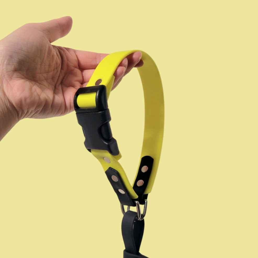 Neon yellow with black accent and off centered buckle - buckle is off-centered