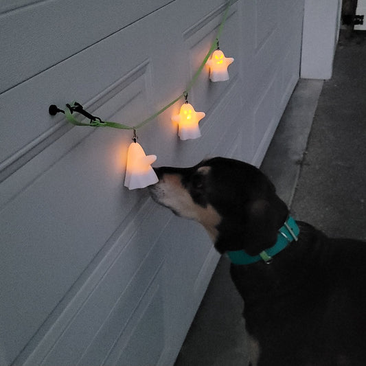 Chewy sniffing the 'hot' Ghost!  He's approx 80lbs. Hang them on a line! (Line not included)