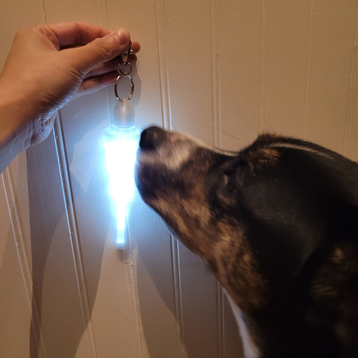 This is a single Icicle Vessel that has a metal hook 