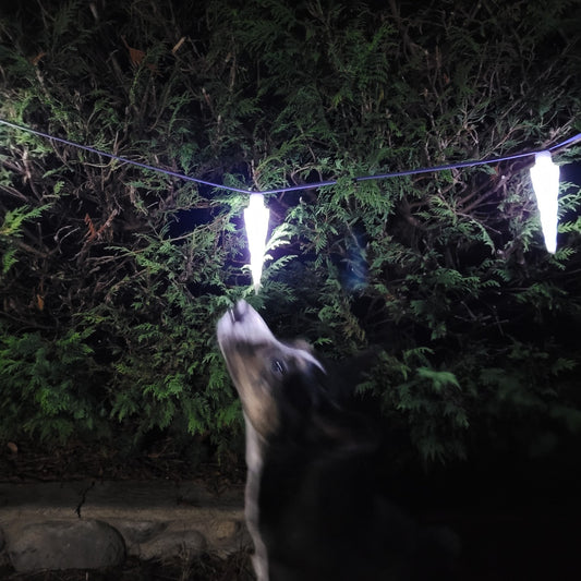Icicle Aerial Sniff Line is shown here lit up