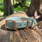 Sage green biothane collar. Waterproof and easy-to-clean. Made in Canada 