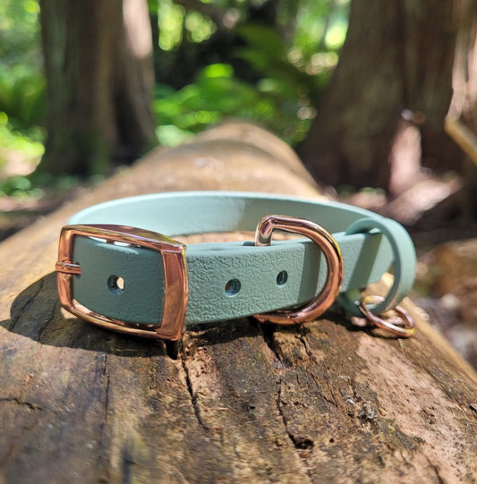 Sage green biothane collar. Waterproof and easy-to-clean. Made in Canada 