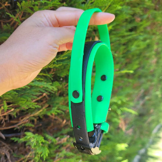 1" wide Neon green (main colour) and black (Front colour). Size is XS for a Mini Australian Shepherd
