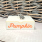 Pumpkin in orange in hanley script font