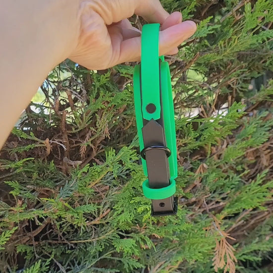Video XS collar
