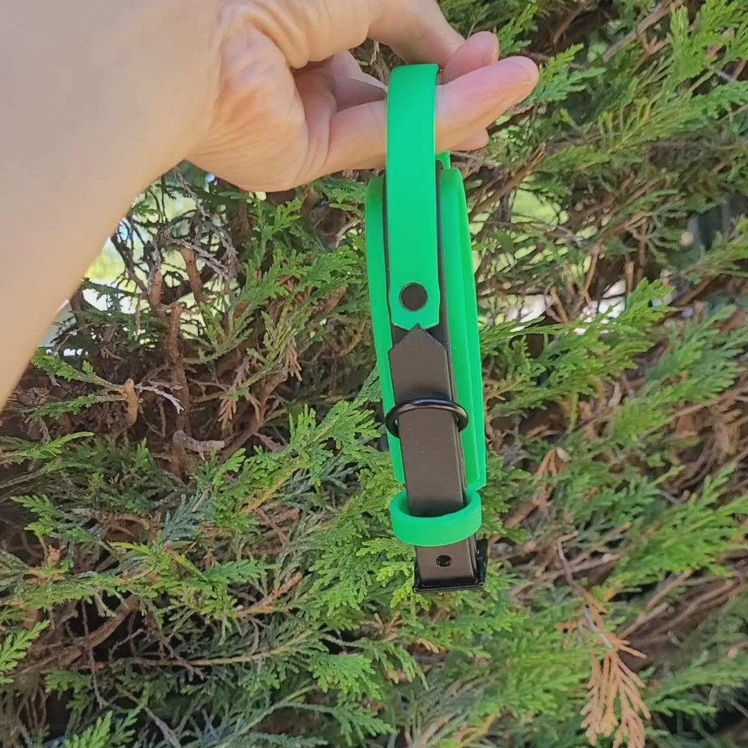 Video XS collar