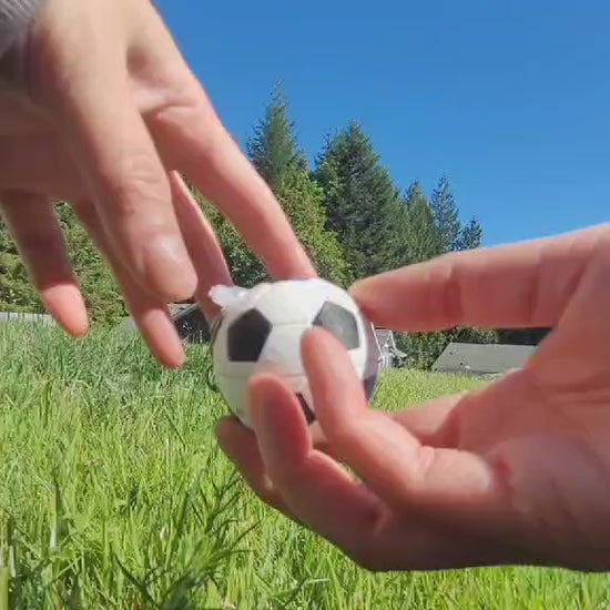 Video: A look inside the Sniffer Soccer Vessel for Nosework