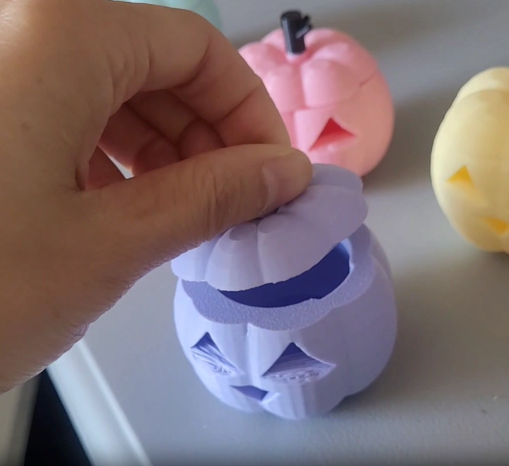 VIDEO: A view inside the Pastel Pumpkin Vessel for nosework. Hallowe'en and Scentwork just go together!