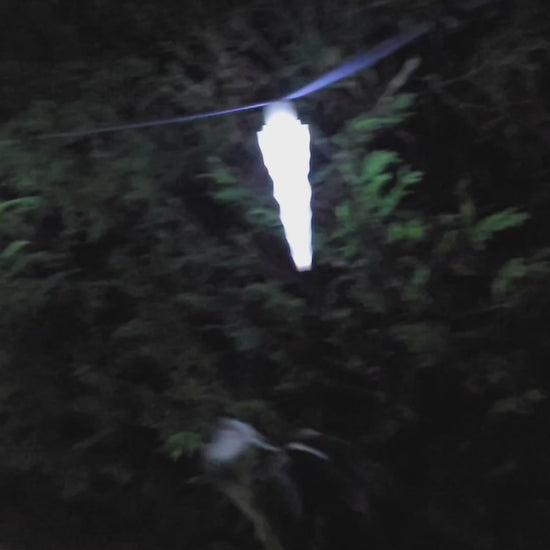 This is the Icicle Aerial Sniff line, which comes with 3 vessels and 3 lights.  It is shown here lit up at night on a cedar bush. 