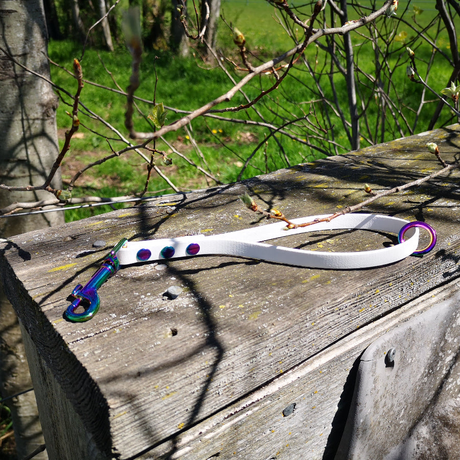 White with rainbow hardware, one foot loop with a ring