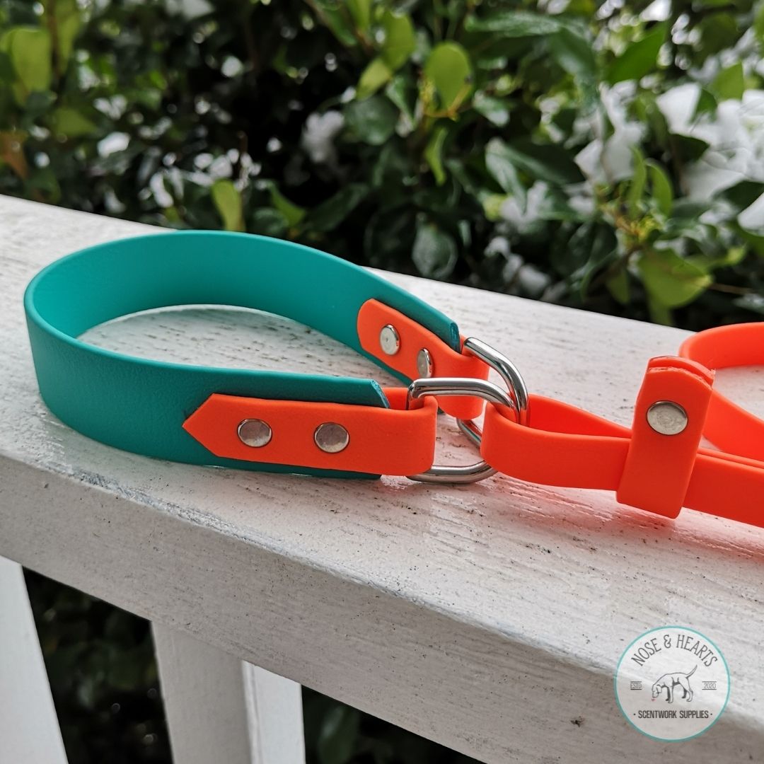 Biothane hot sale martingale collar