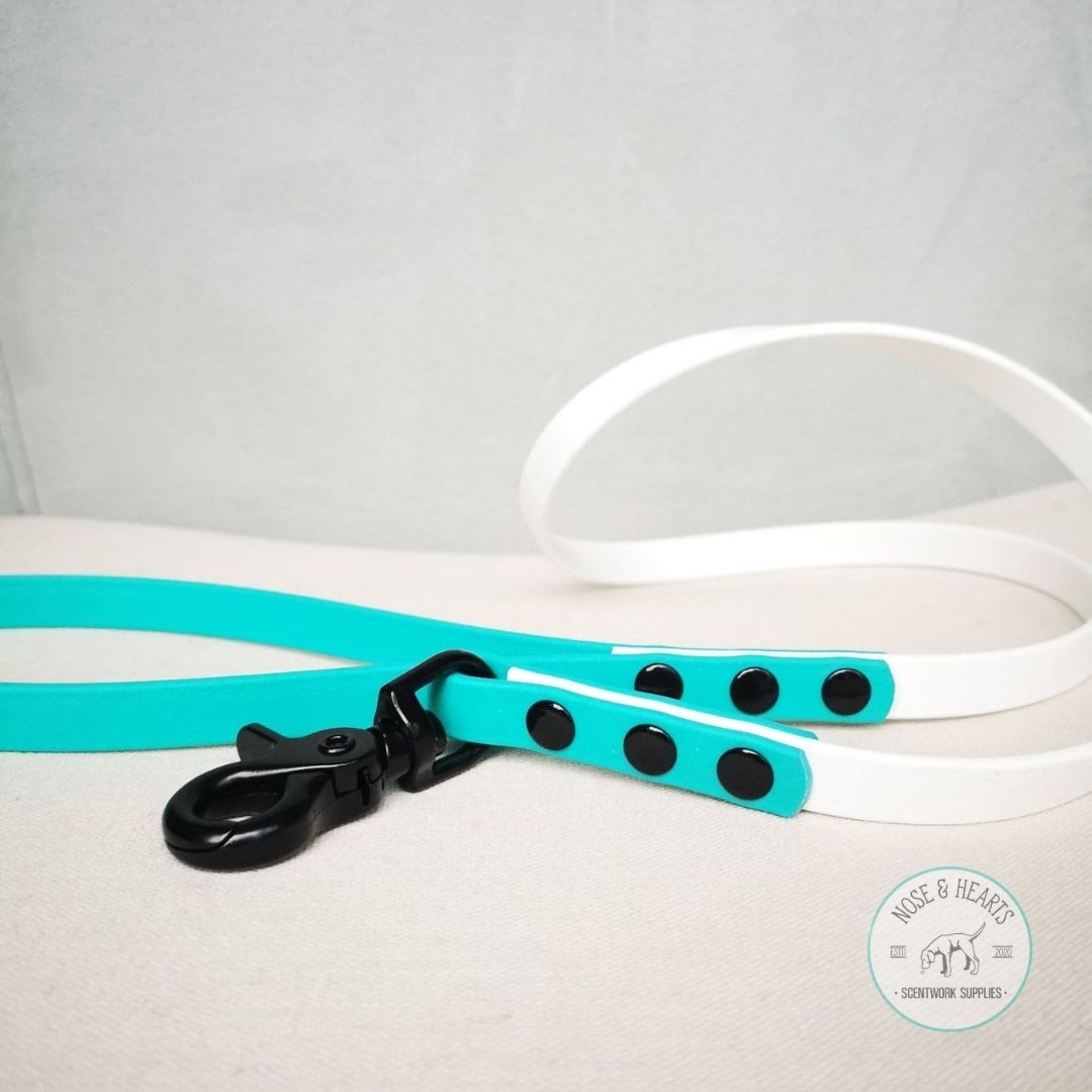 White and teal, black trigger