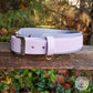 Grey (light) wider colour with lavender 1" front colour. 