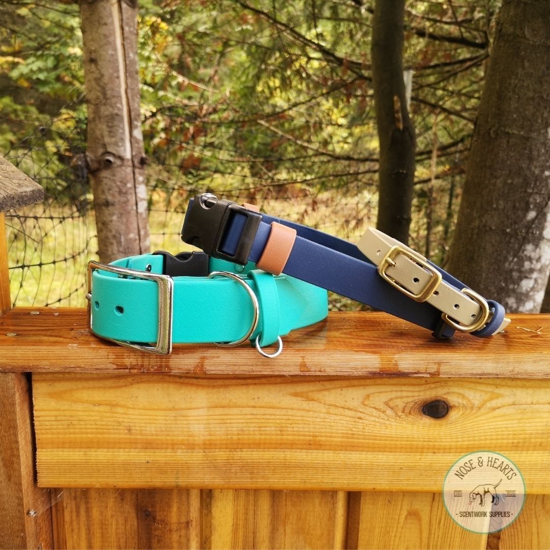 Comparing the teal 1.5" wide collar with the 1" and 5/8" inch collar