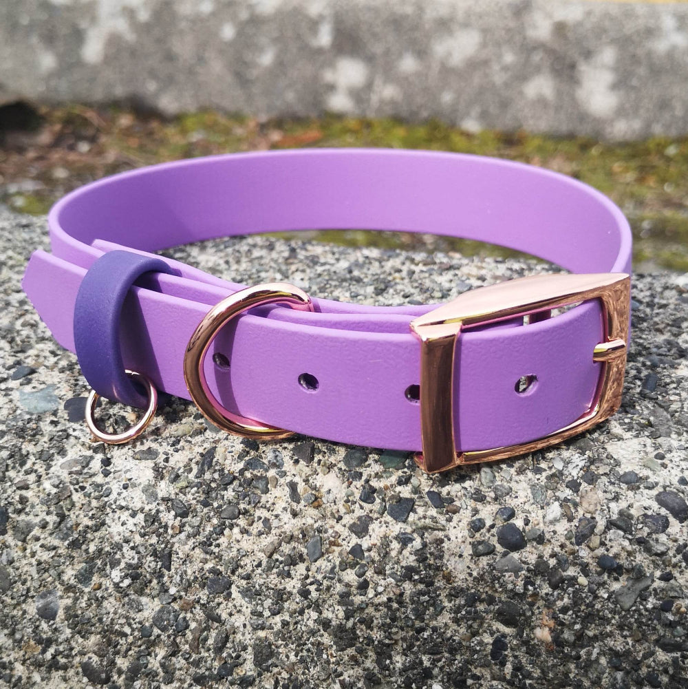 Amethyst with purple strap keeper with rose gold hardware 1" Metal Pin Biothane Collar Rose Gold