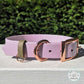 Lavender and olive 1" Metal Pin Biothane Collar Rose Gold