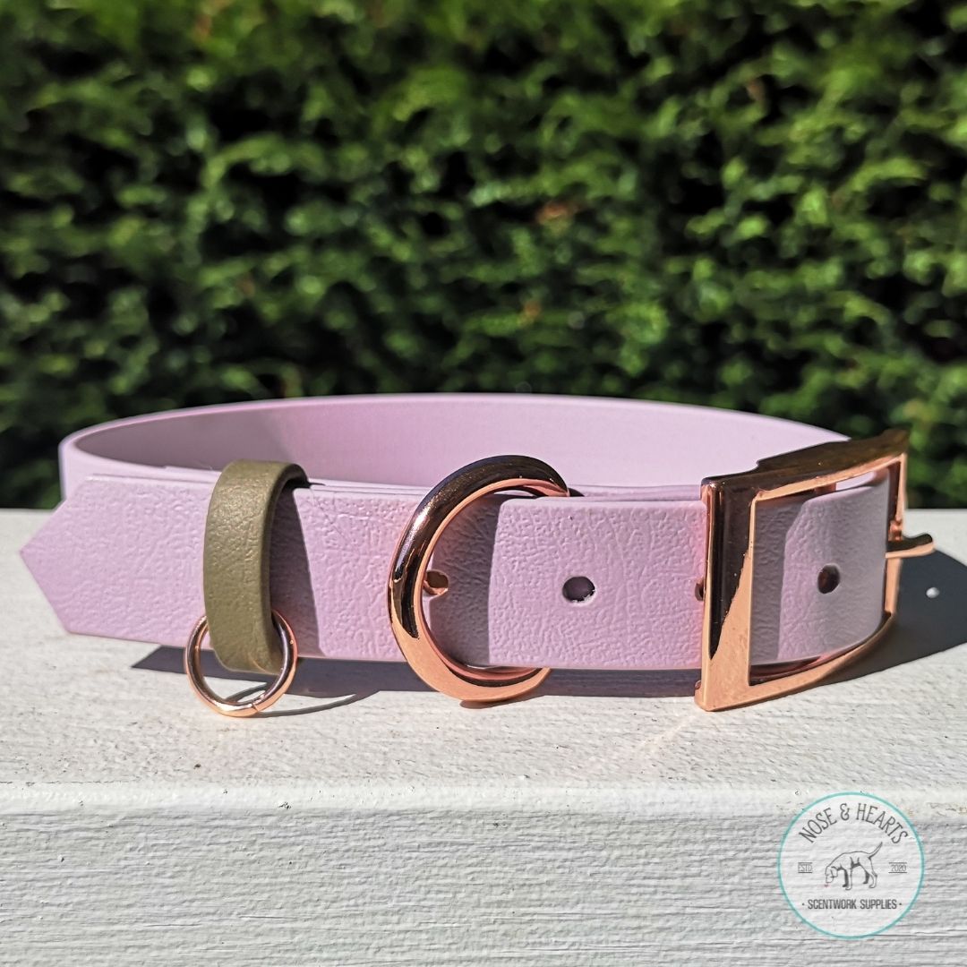 Lavender and olive 1" Metal Pin Biothane Collar Rose Gold