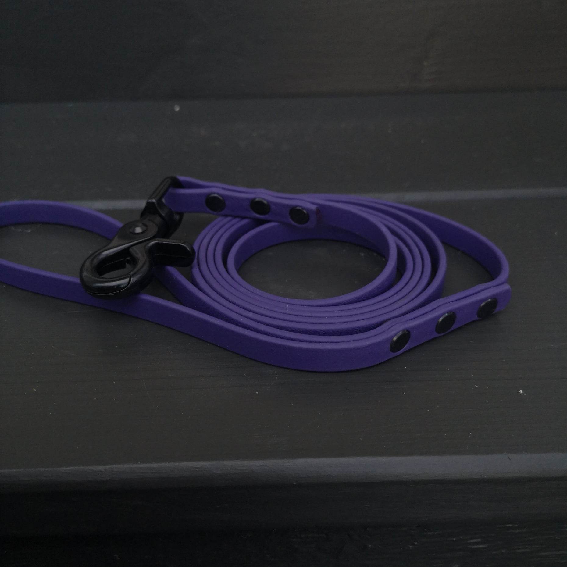 Purple with trigger clasp