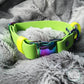 Main colour lime green with accent colour (straps) neon yellow