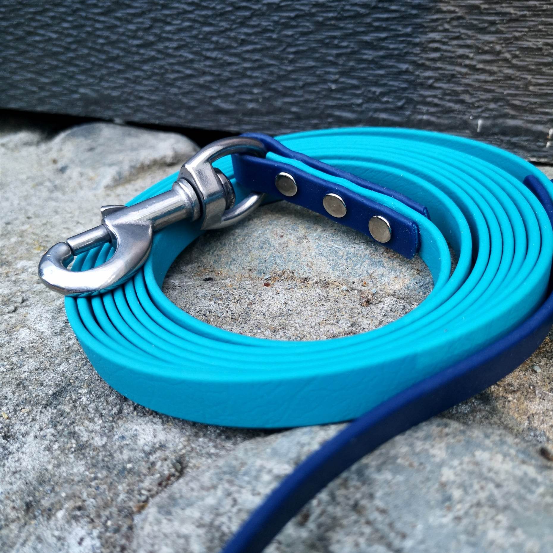 Biothane Leashes by Pimped Out Pup | Custom Leashes