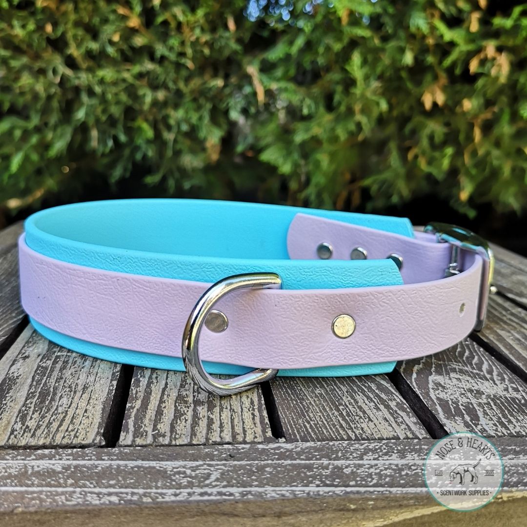 Sky blue wider colour with lavender 1" front colour