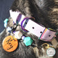 Lavender and rainbow hardware Biothane collar