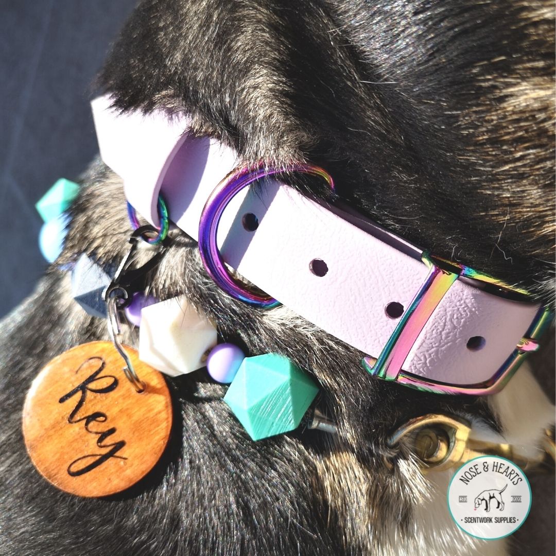 Lavender and rainbow hardware Biothane collar