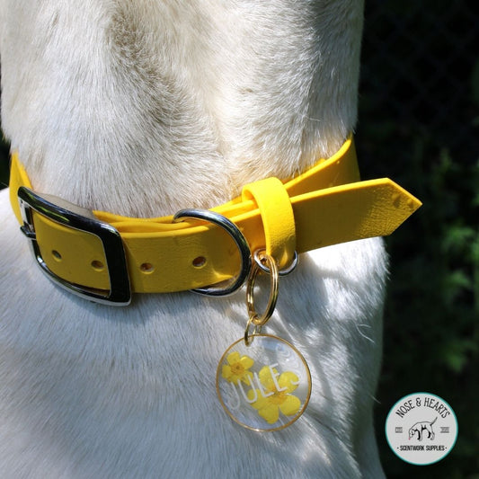 Yellow with tag holder