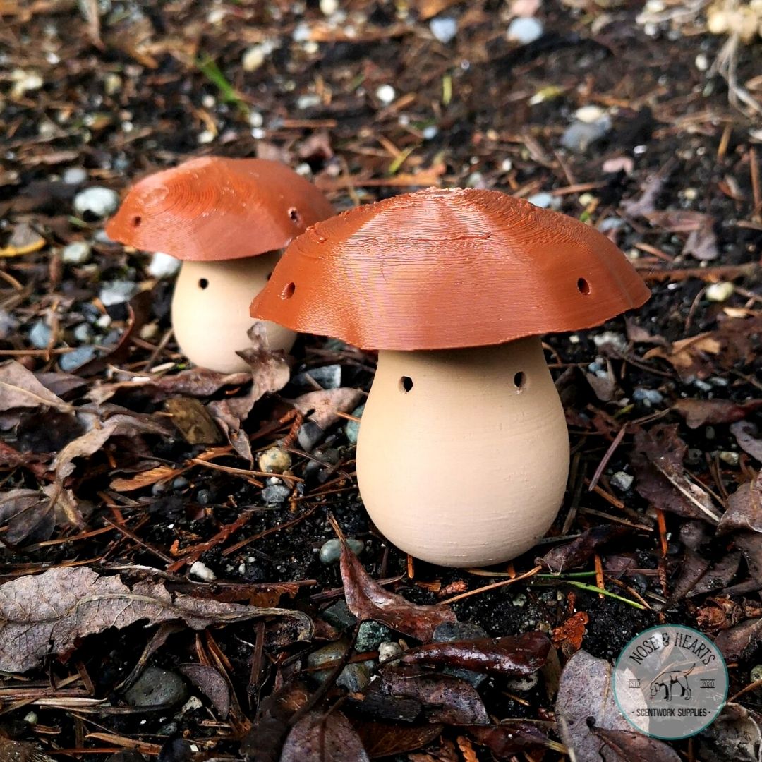 Mushroom Vessel (1 Pack)