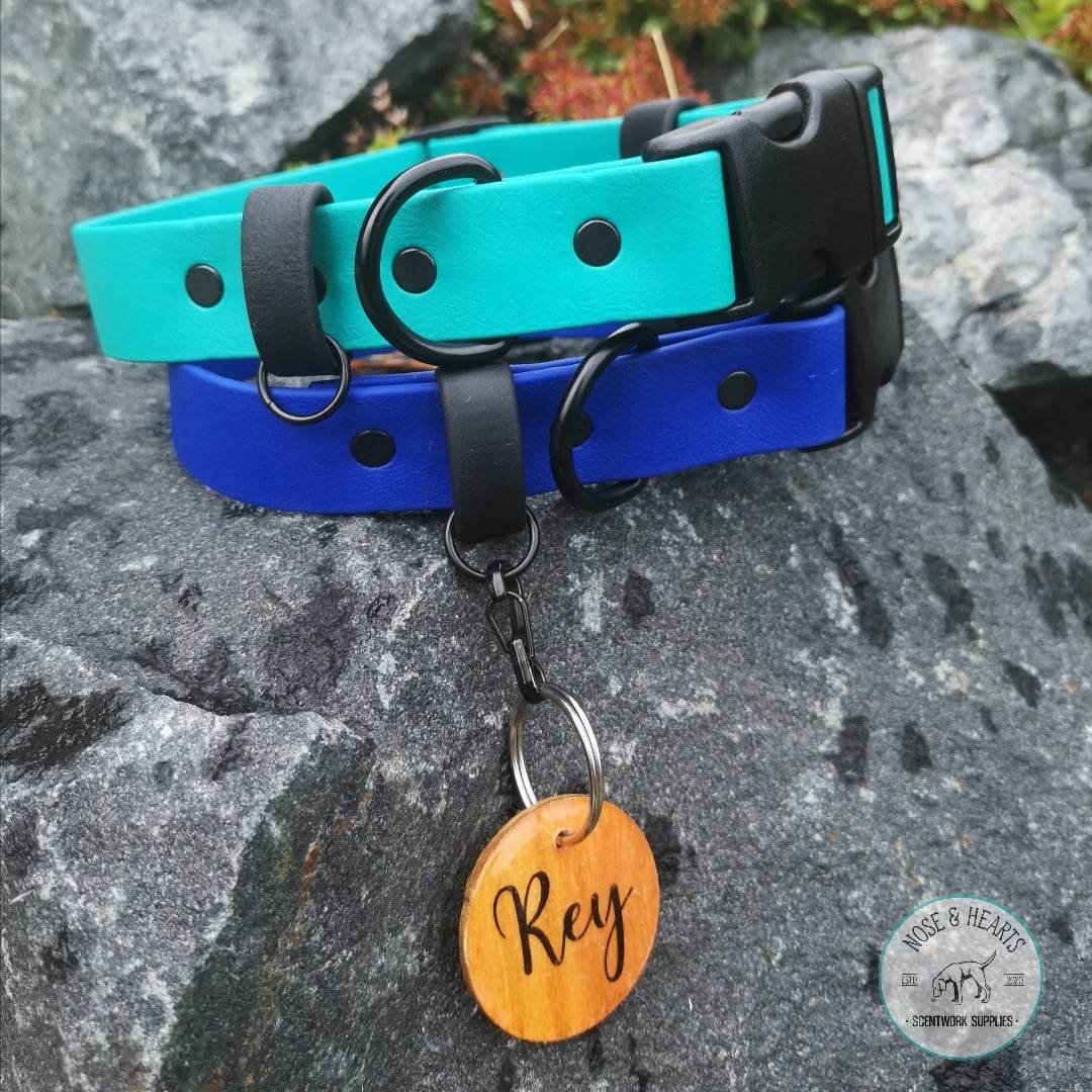 Teal and royal blue with black strap