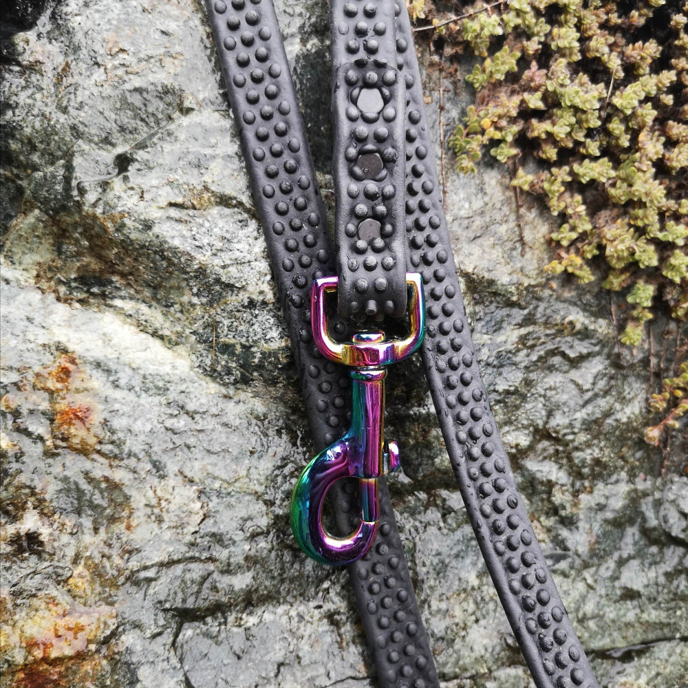 3" rainbow clasp, black leash