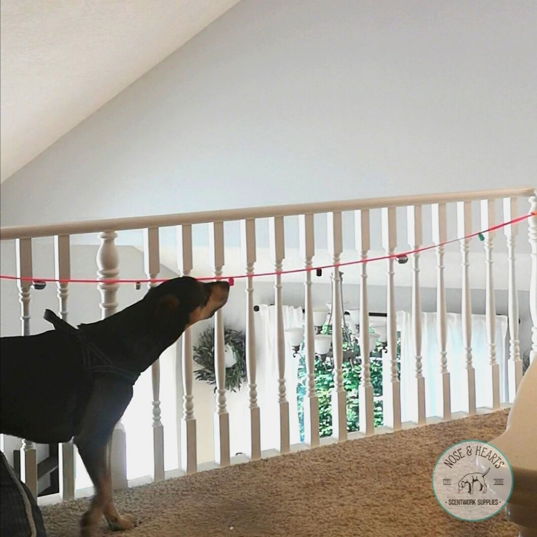 Magnetic Aerial Sniff Line