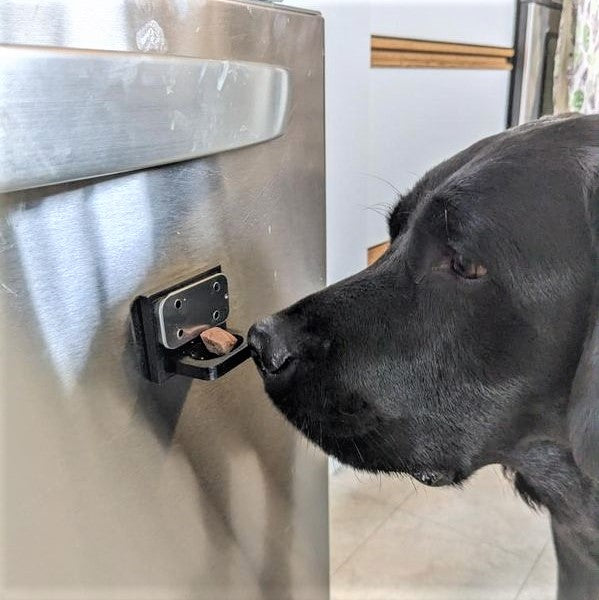 Sniff n' Snack Tray