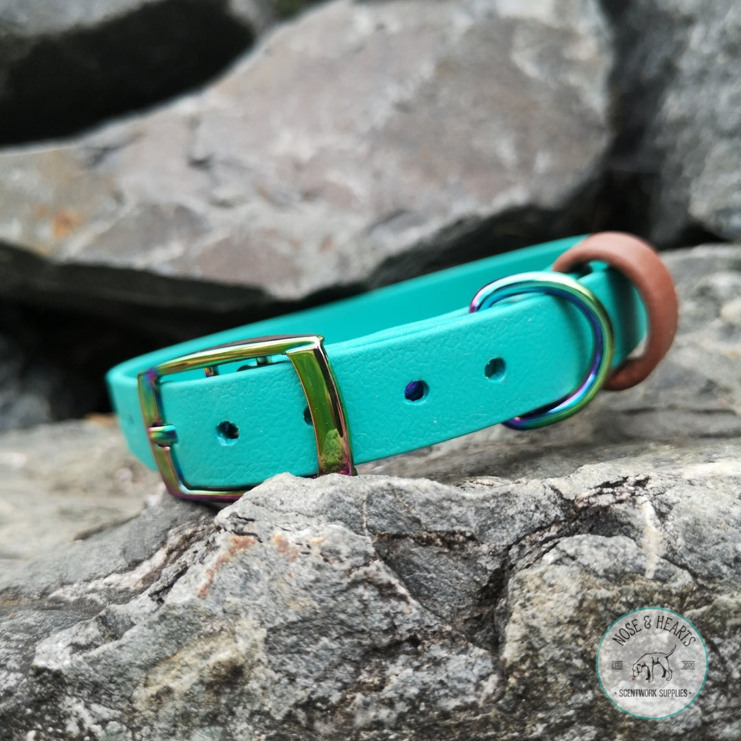 Teal with a medium sized strap keeper