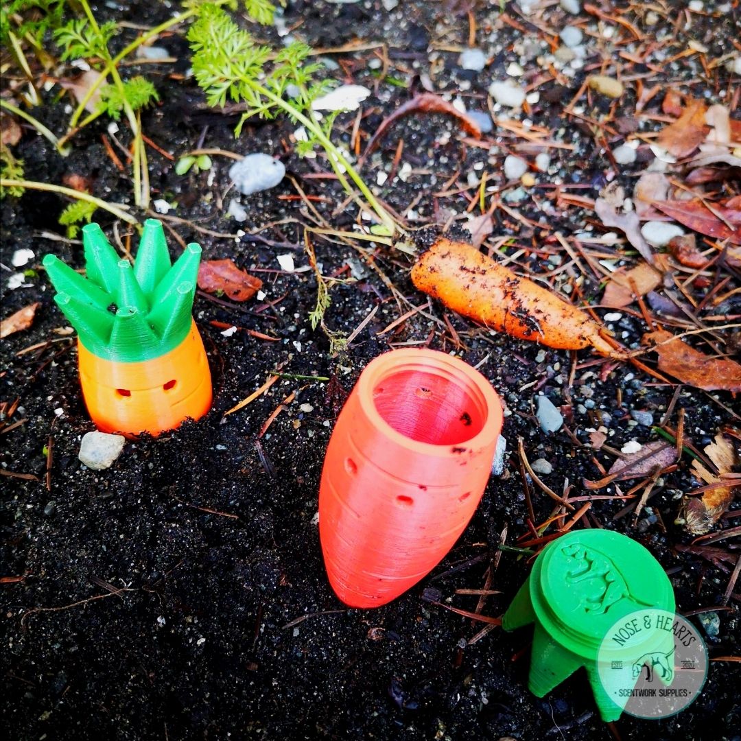 Carrot Vessel (1 Pack)