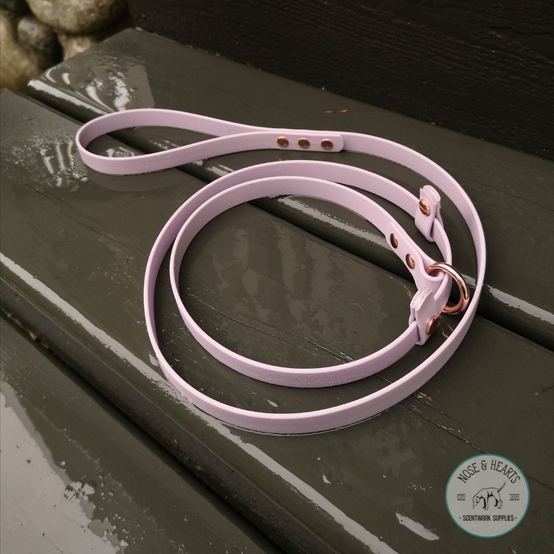 Custom Biothane Leashes – Nose and Hearts Scentwork Supplies