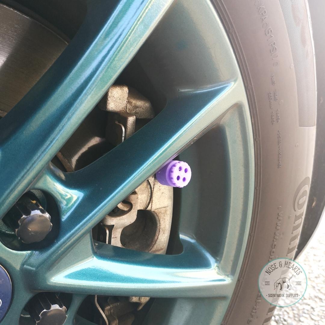 Lavender in a wheel well