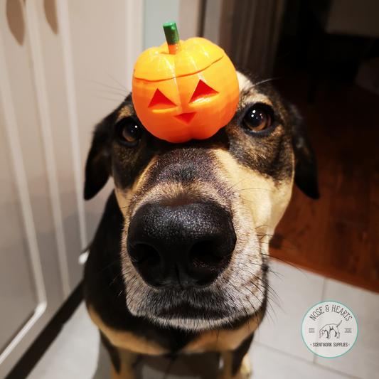 Pumpkin Vessel (1 Pack)(2020)