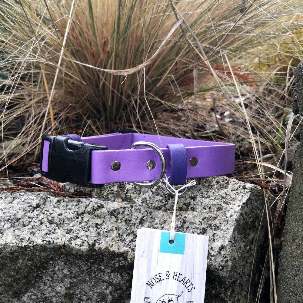 Amethyst with purple strap